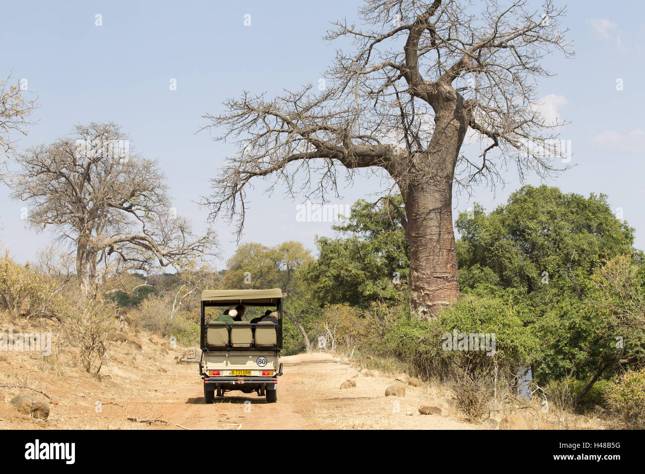 Safari jeep safari, turístico, Foto de stock