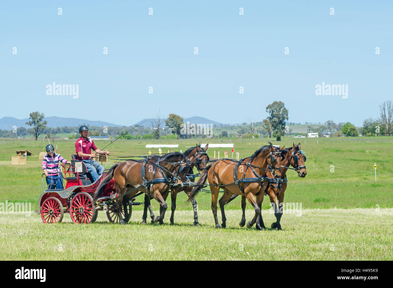 Evento de carruajes de caballos fotografías e imágenes de alta resolución -  Alamy