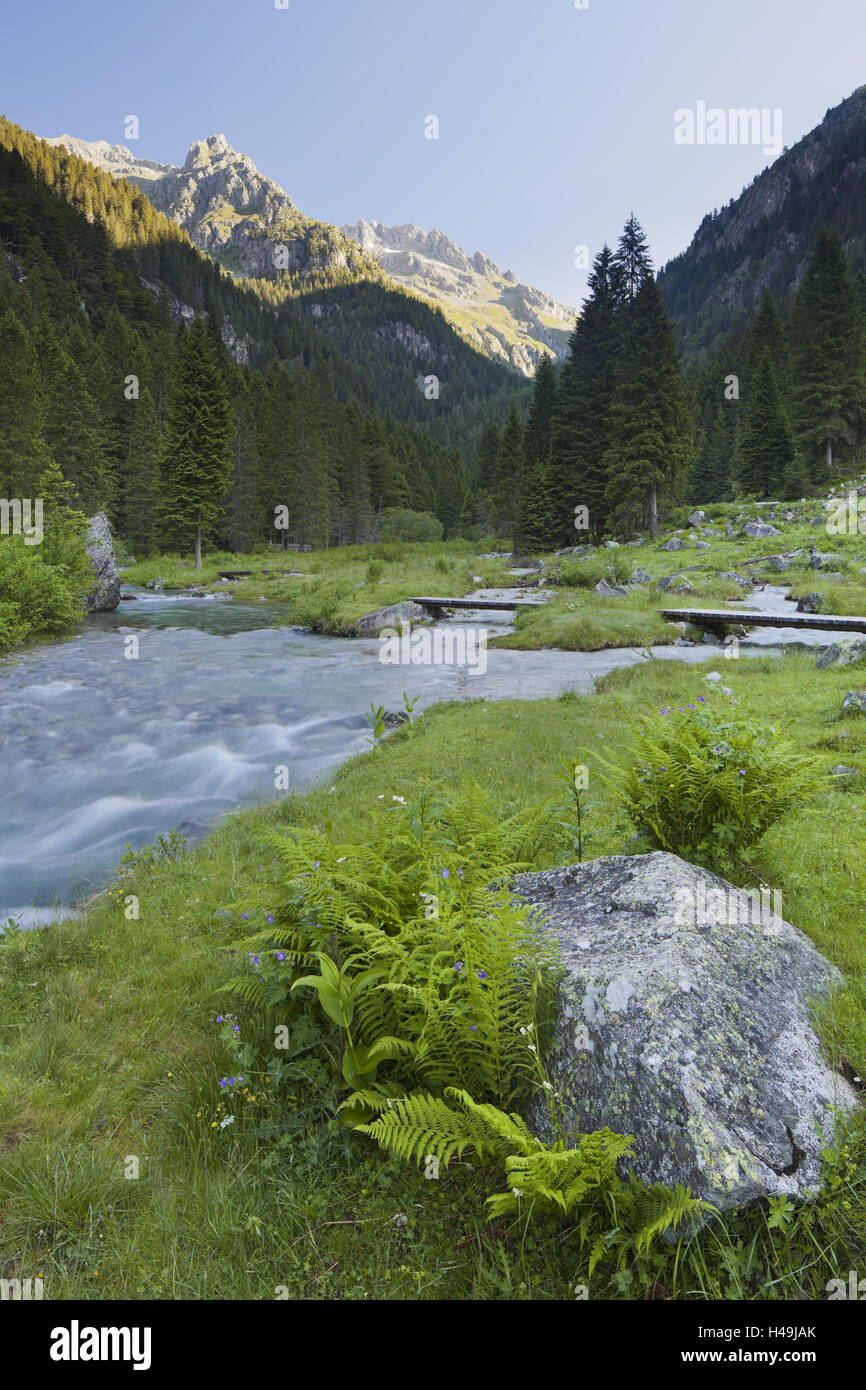 Torrente en Val Nambrone Sarca, Trentino, Italia, Foto de stock