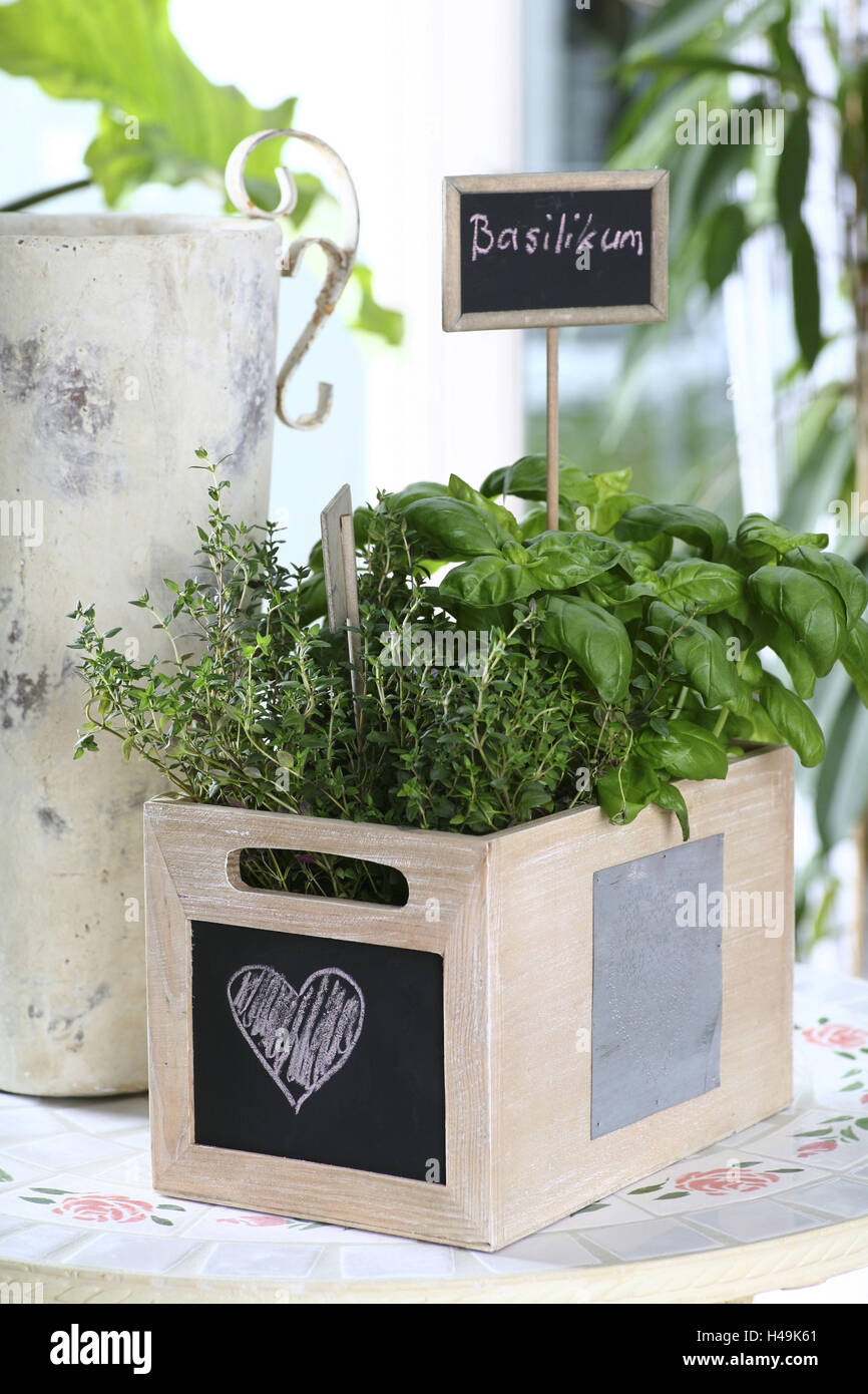 Hierbas culinarias, hierbas en una caja de madera, tomillo, albahaca, Timo vulgalris, Ocimum basilicum, Foto de stock