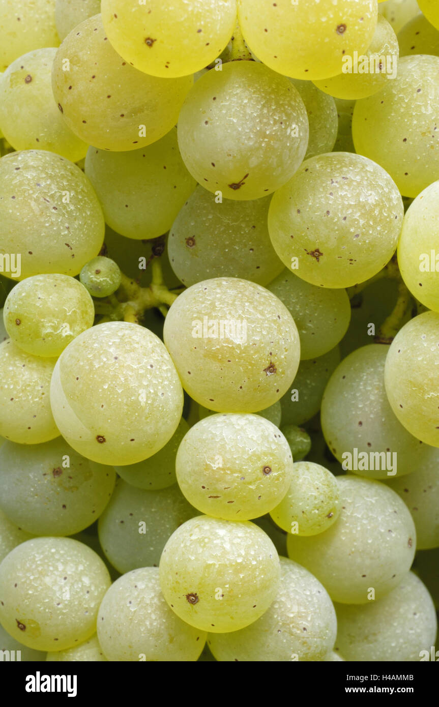 Las uvas, especie de Riesling, manguera significa permanece, Foto de stock
