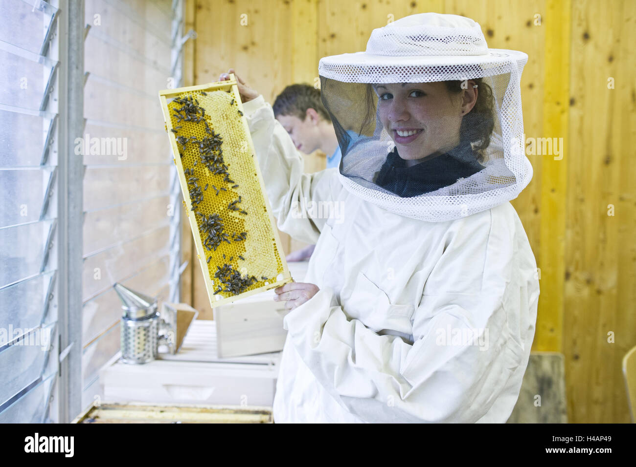 El apicultor, honeycomb, ropa protectora, Foto de stock