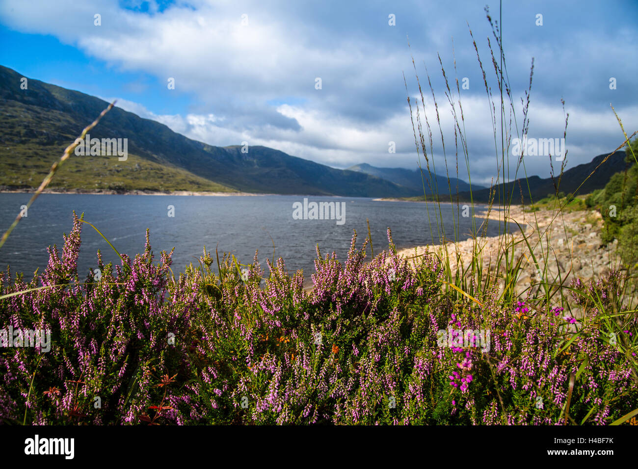 Lake (lago) en las Tierras Altas de Escocia. Foto de stock