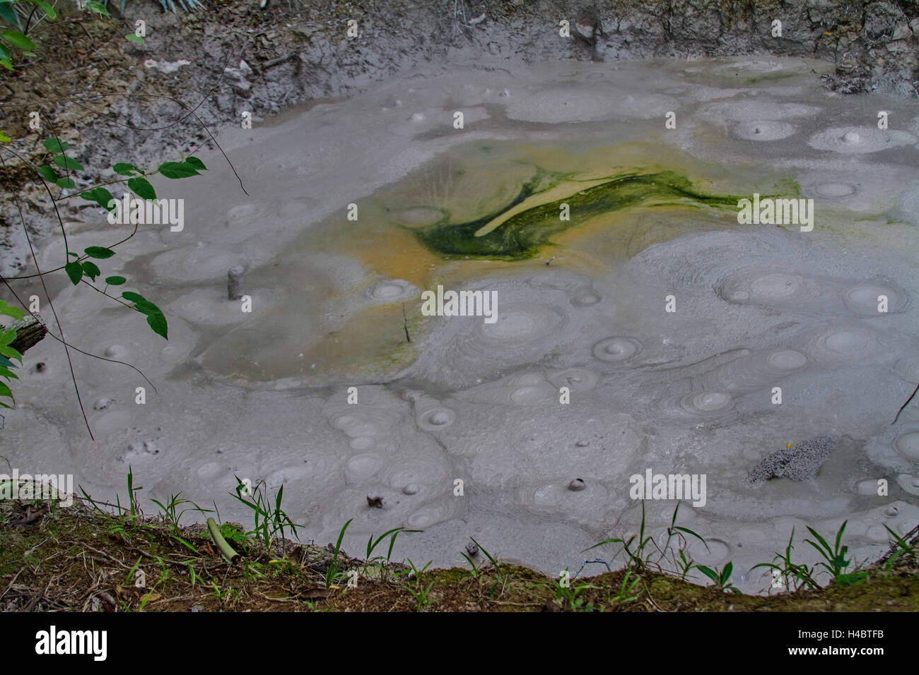 Las algas en el Hotspot de un volcán Foto de stock