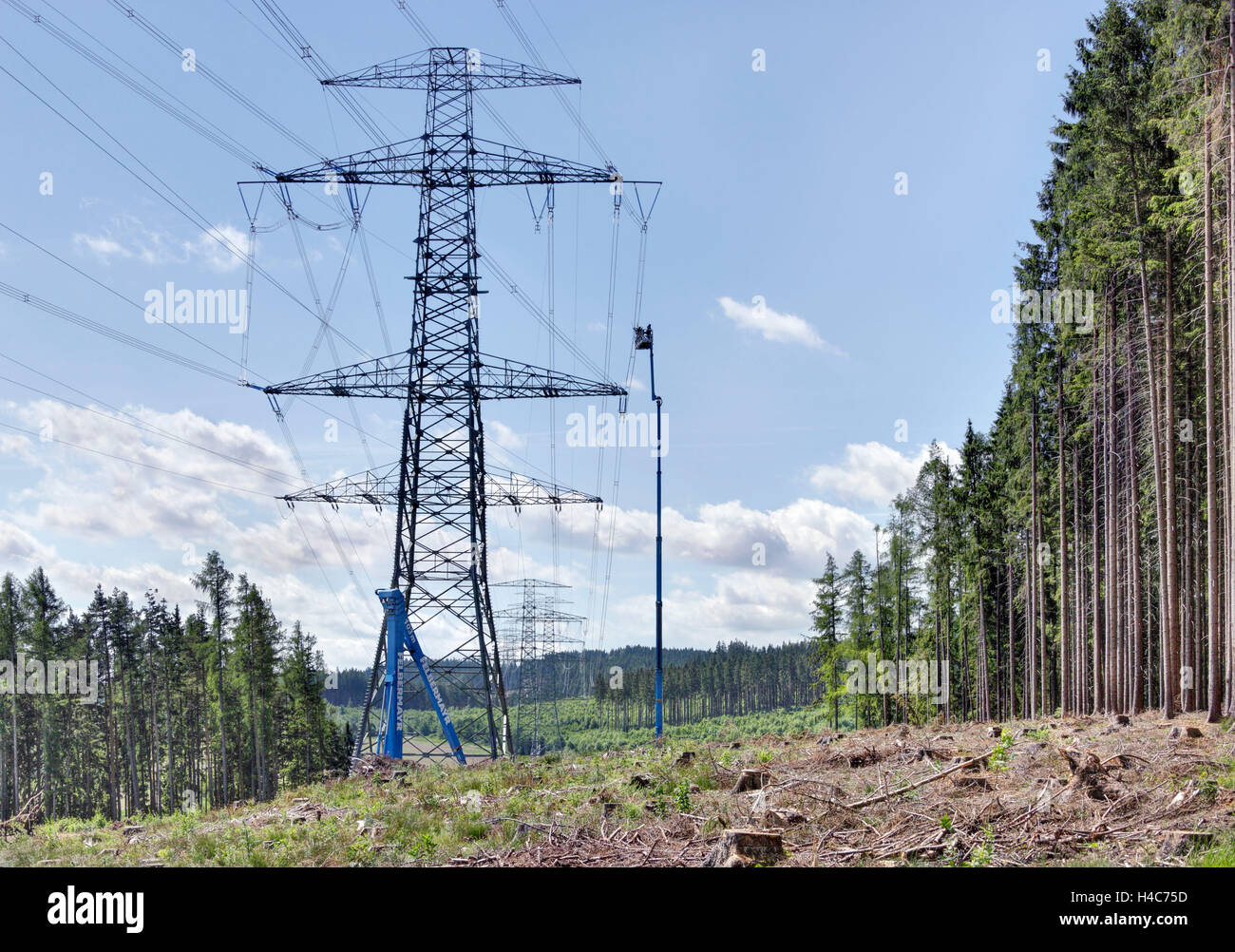 Los hombres, el trabajo, las líneas de suministro de energía, grúas, la modorra, la altura del mástil, power line, bosque pasillo Foto de stock