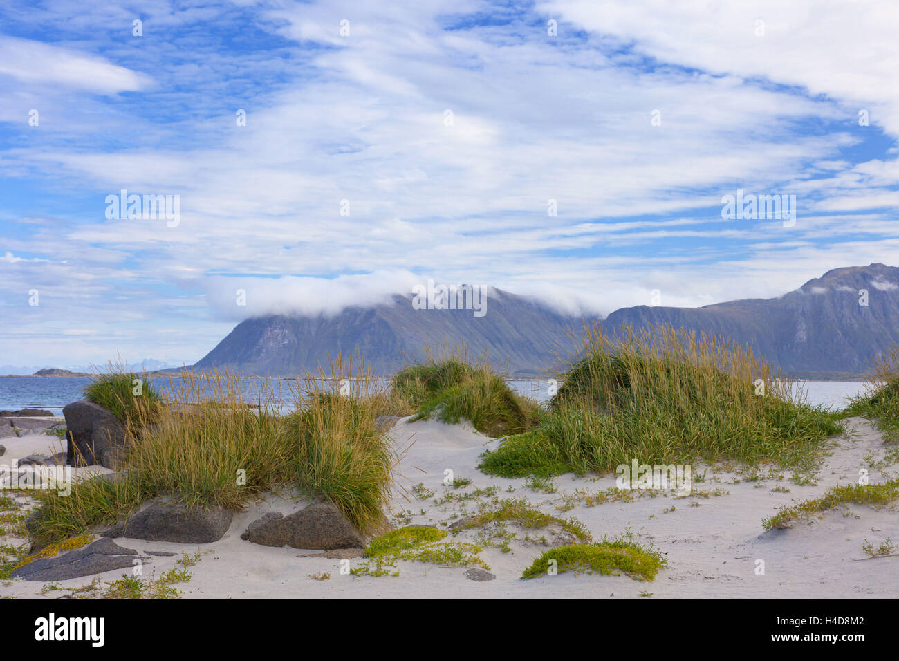 Playa, Eggum, hierba, Bahía, Vestvagoya, Lofoten, Noruega, Europa  Fotografía de stock - Alamy