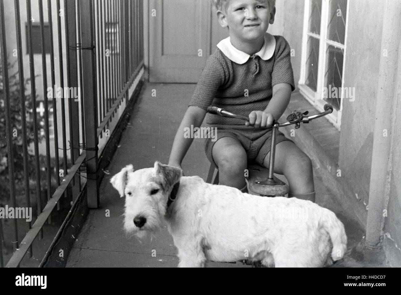 Ein Junge auf einem Dreirad auf einem Balkon hlt einen Hund am Halsband fest, Deutschland 1930er Jahre. Un niño de tres wheeler sobre un balcón sosteniendo un perro en su cuello, Alemania 1930. Foto de stock