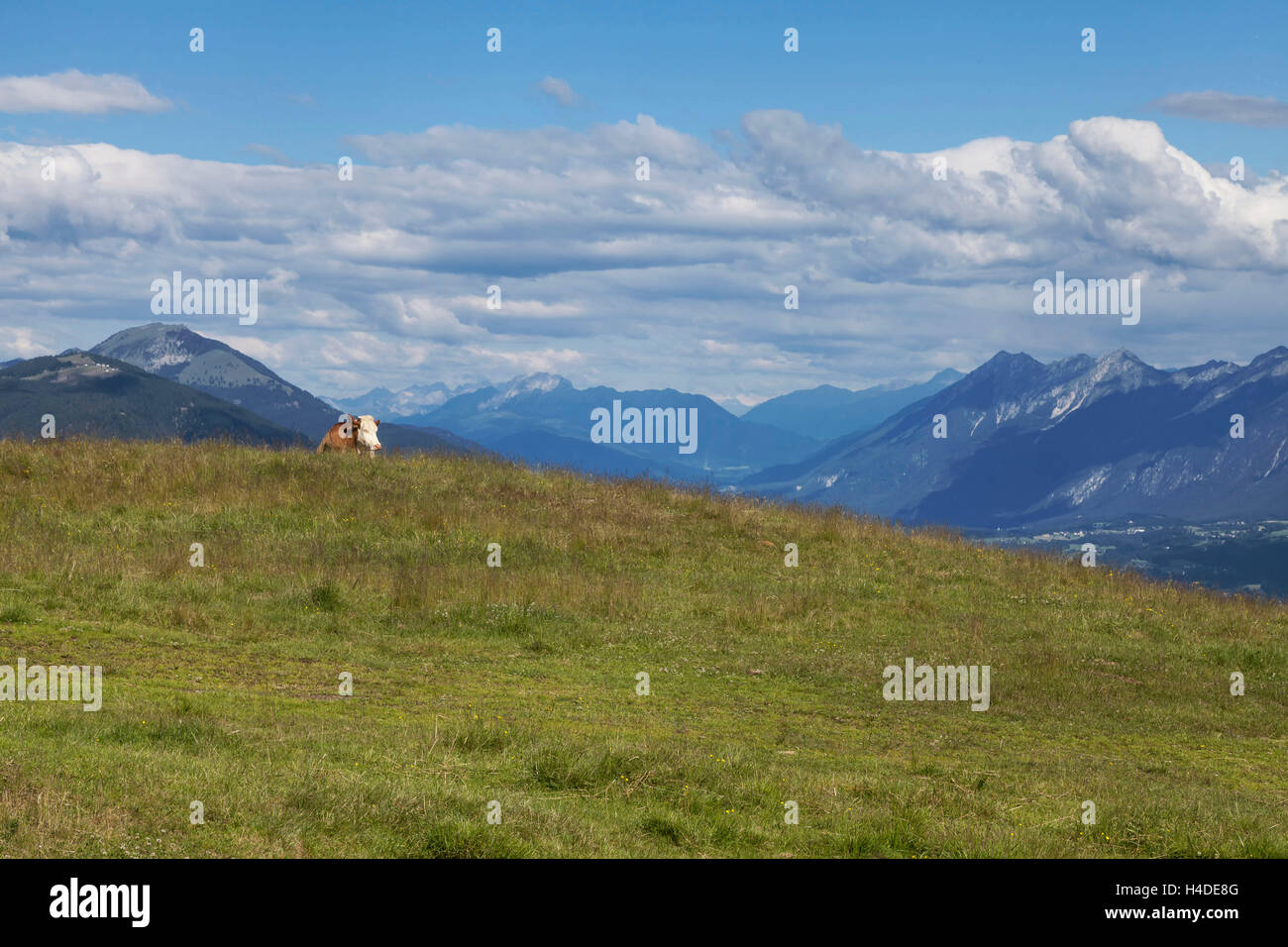 En la zona de la triple frontera Arnoldstein en Carintia, Austria Foto de stock