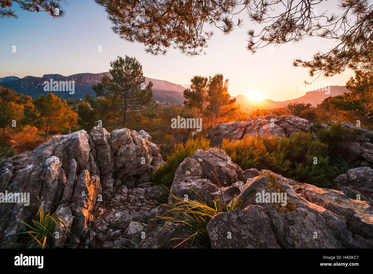 Naturaleza salvaje en las montañas de Mallorca, Islas Baleares, España Foto de stock
