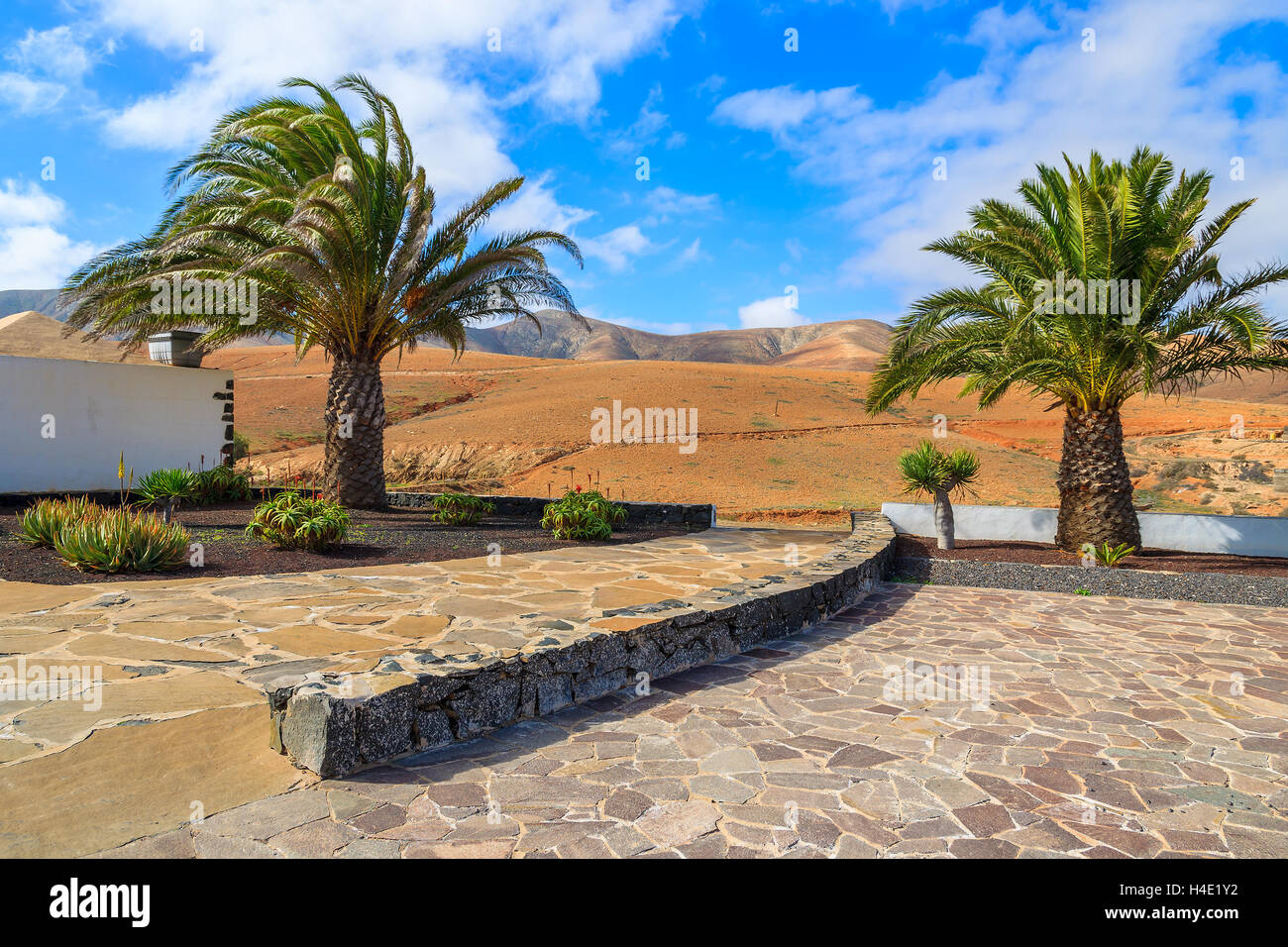 Palmeras en la plaza de la aldea en el paisaje de montañas volcánicas de la isla de Fuerteventura, ESPAÑA Foto de stock