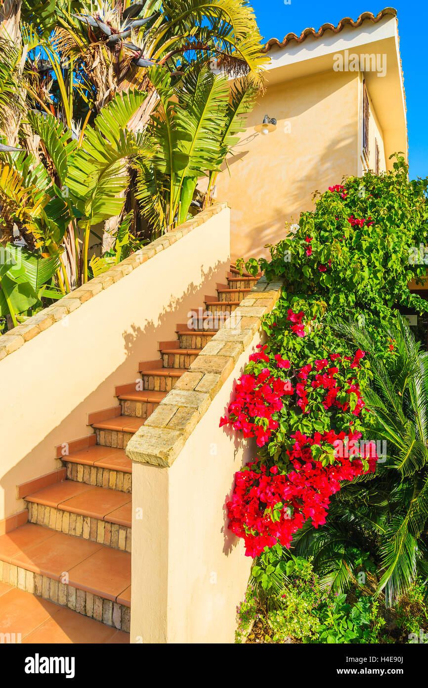 Pasos para casa de vacaciones en un hermoso jardín lleno de flores, isla Cerdeña, Italia Foto de stock