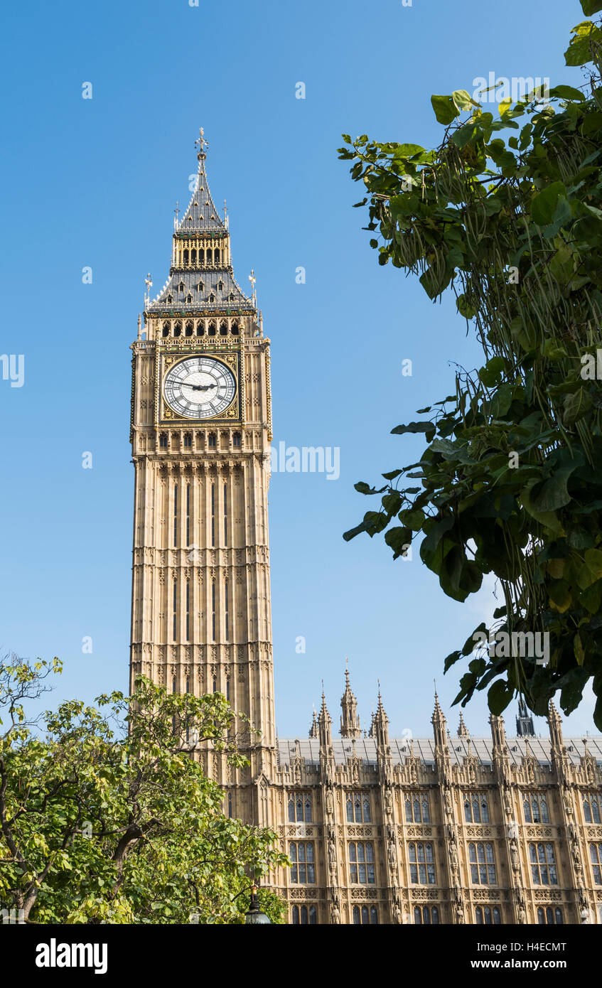 Elizabeth Torre del Big Ben y las Casas del Parlamento, en Westminster, Londres Foto de stock