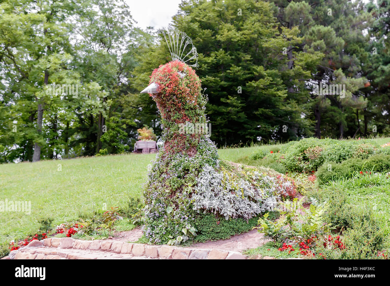 En el Arboreto en la pradera crecen hermosas flores ornamentales, decorados  en forma de un pájaro mágico Fotografía de stock - Alamy