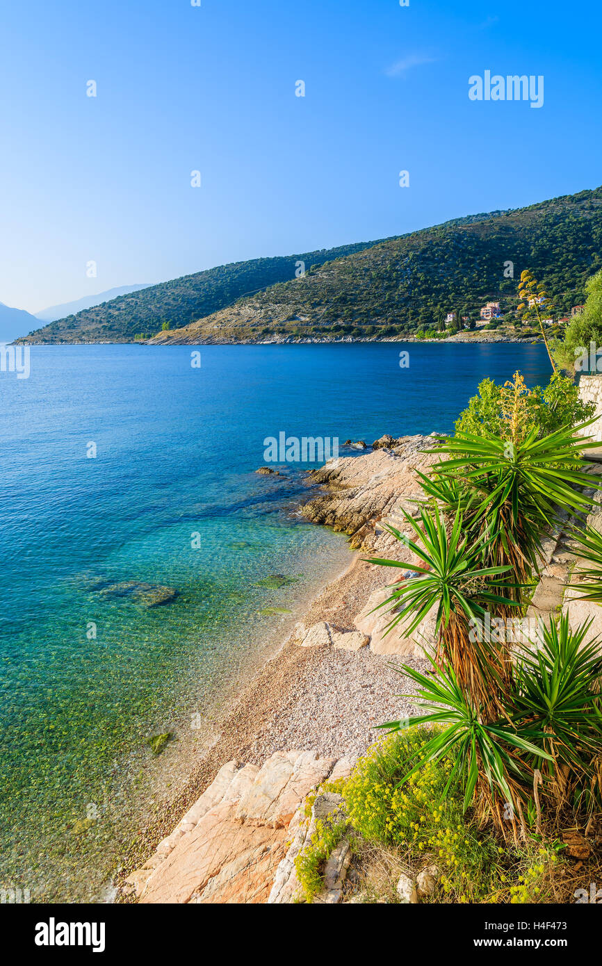 Plantas tropicales y playa en la costa de la isla de Cefalonia en Agia Efimia village, Grecia Foto de stock