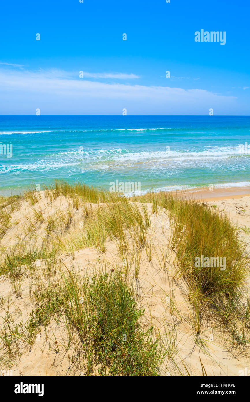 Hierba en una duna de arena en la playa de Chia y vista al mar turquesa, Cerdeña, Italia Foto de stock