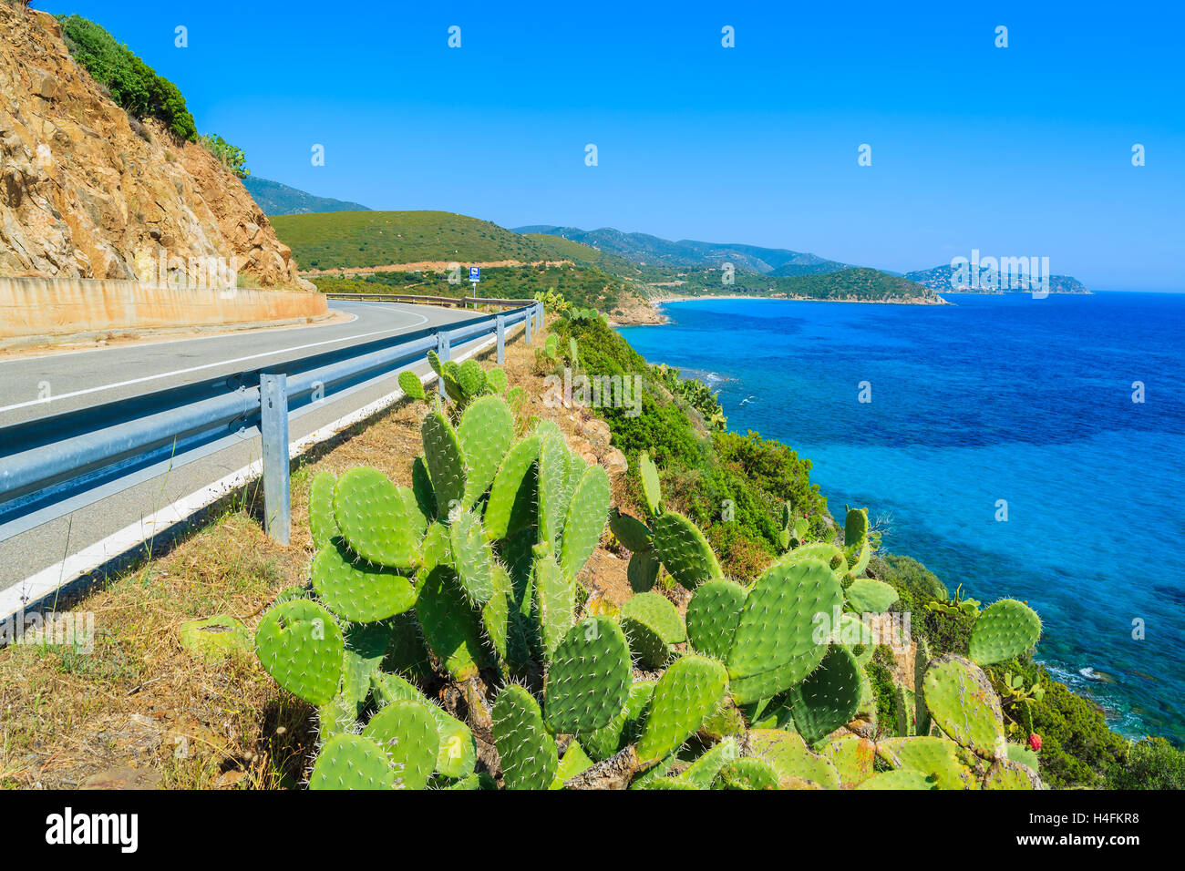 Pintoresca carretera costera con cactus y plantas vista mar azul cerca de Porto sa Ruxi, Cerdeña, Italia Foto de stock