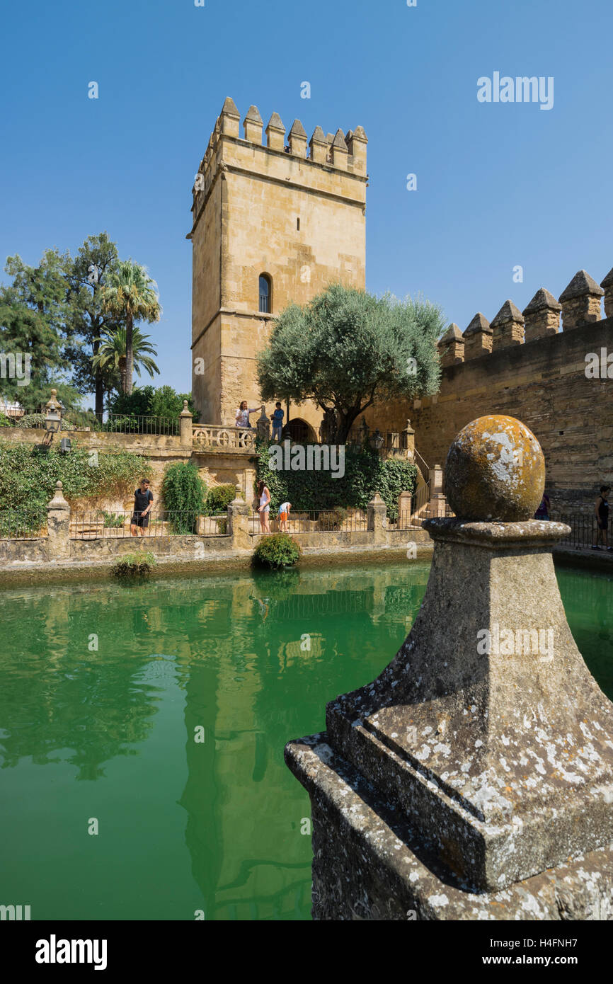 Córdoba, provincia de Córdoba, Andalucía, sur de España. El estanque en los jardines del Alcázar de los Reyes Cristianos. Foto de stock
