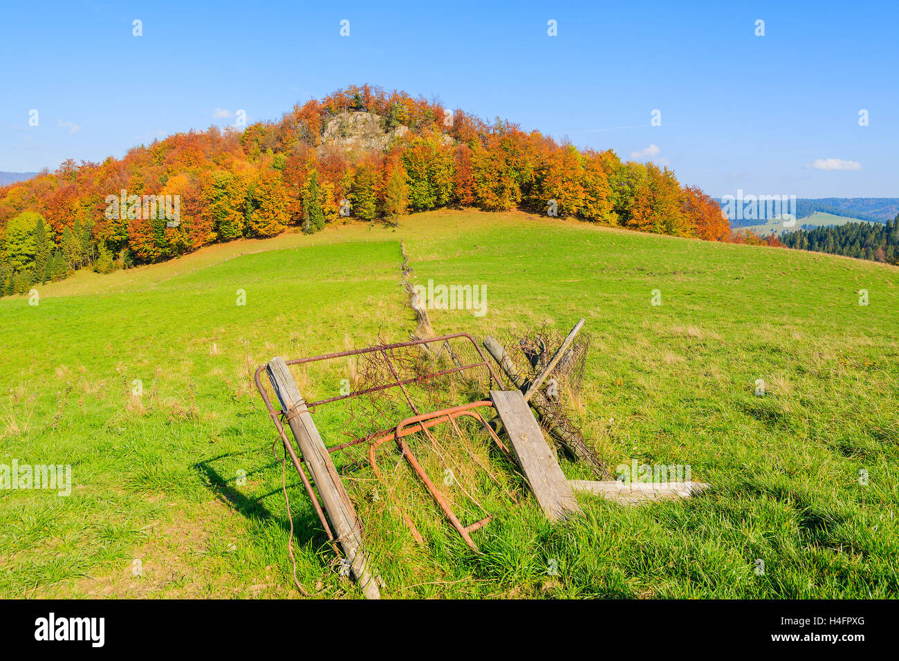 Puerta en valla de madera en campo verde en las montañas Pieniny el soleado día de otoño, Polonia Foto de stock