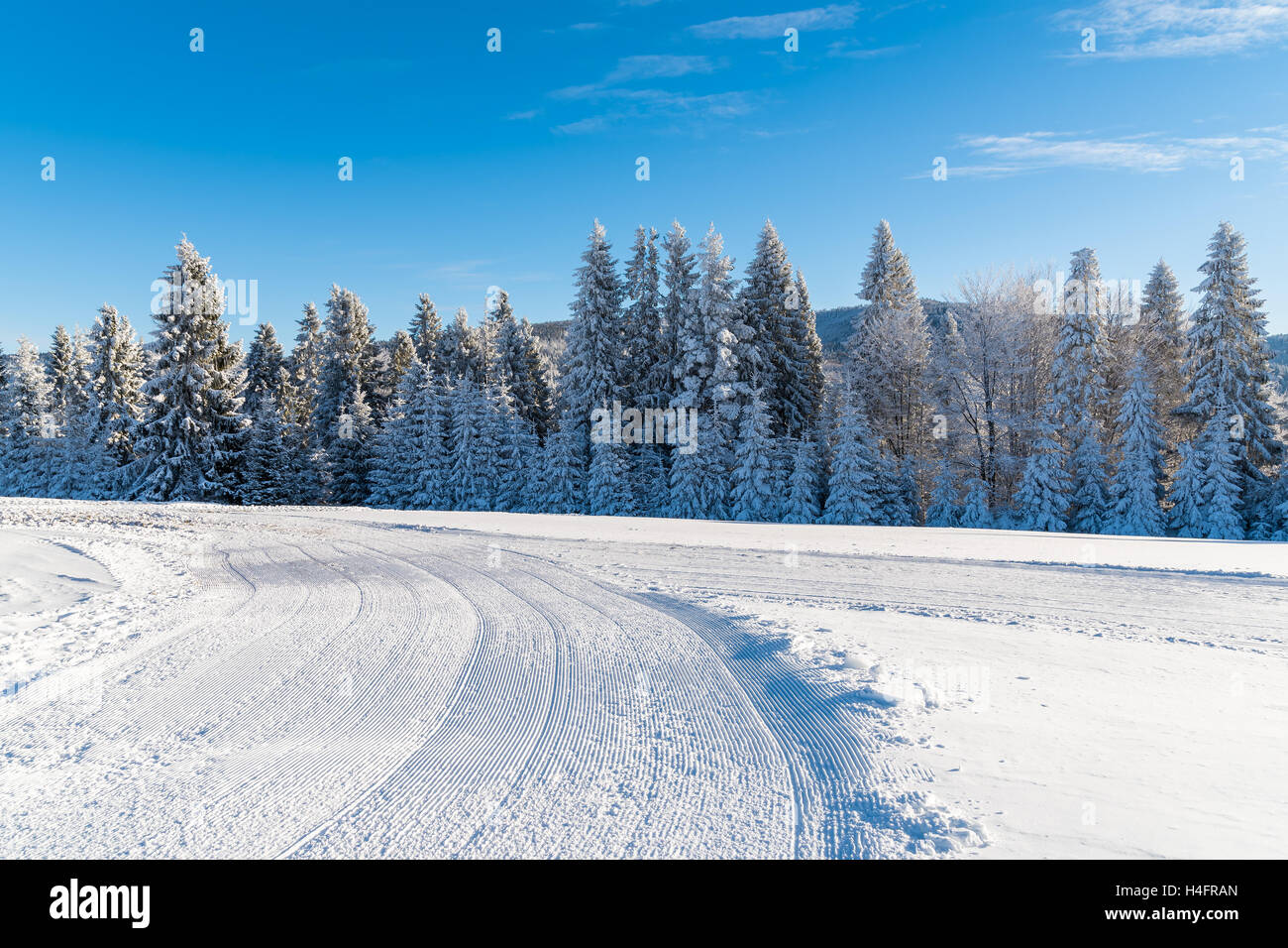 Carretera de invierno en el soleado día de Beskid Sadecki Montañas, Polonia Foto de stock