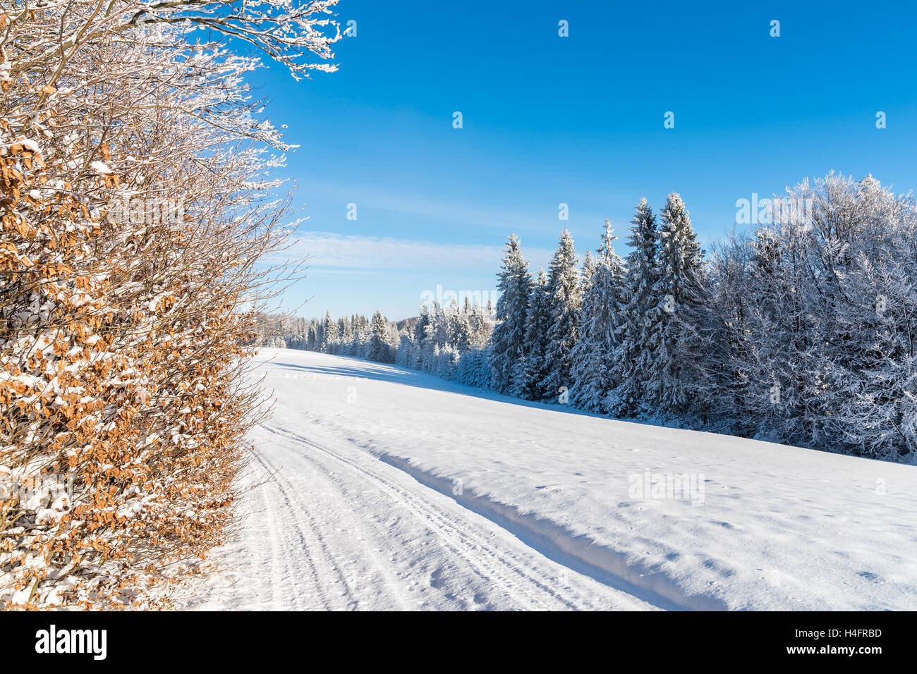 Carretera de invierno en el soleado día de Beskid Sadecki Montañas, Polonia Foto de stock