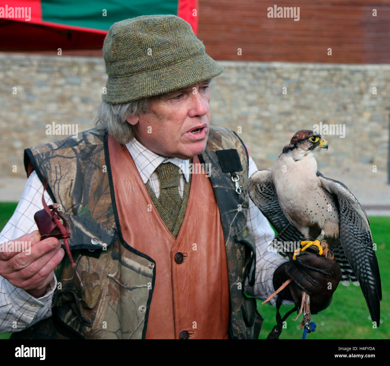 Bernard Byrne, experto de aves de rapiña, habiendo eliminado el capó de hawk Foto de stock