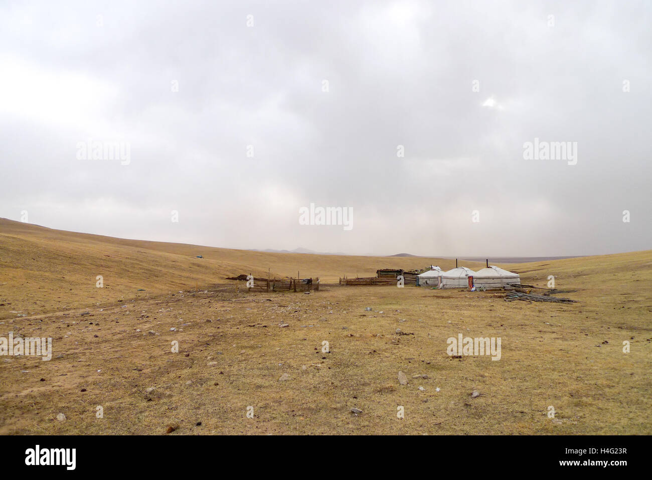 Gers en Mongolia. Foto de stock