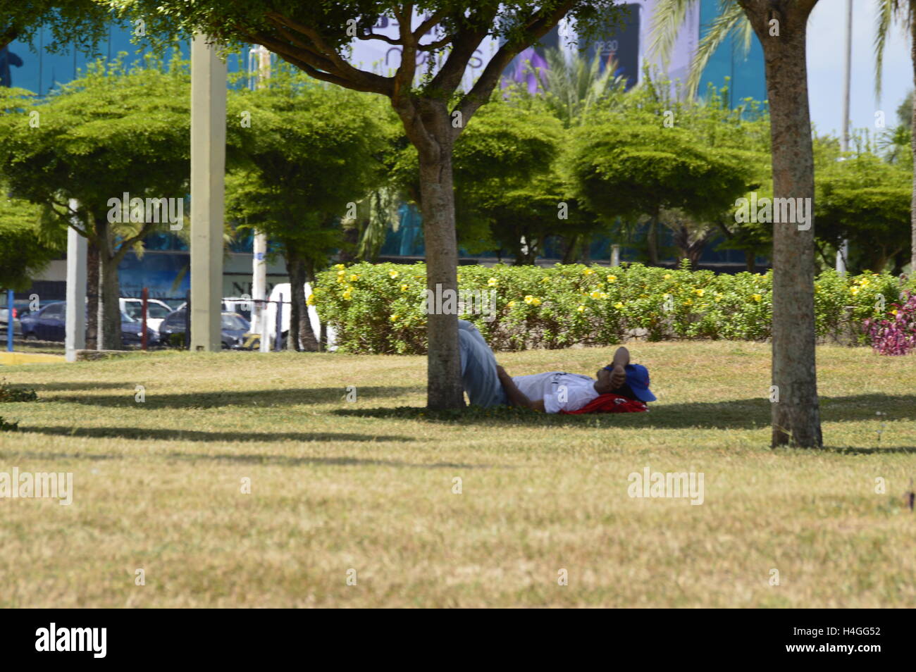 Puerto Ordaz, Venezuela, 16 Oct 2016. Venezuela: clima muy soleado día, un  venezolano descansar bajo la sombra de los árboles en una plaza de esta  ciudad del país sudamericano. La temperatura era