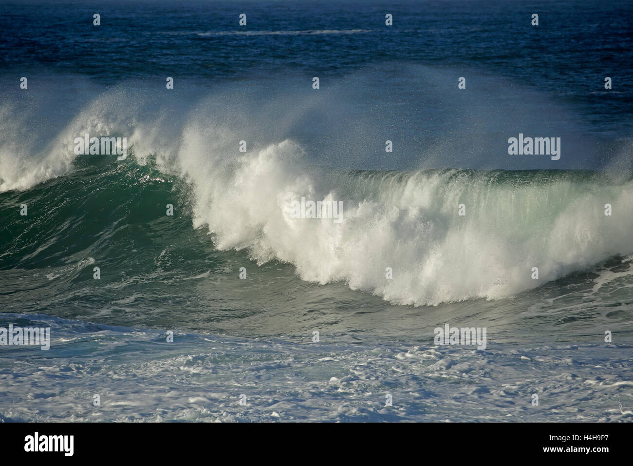 Seascape con gran ola rompiendo y pulverización de agua Foto de stock