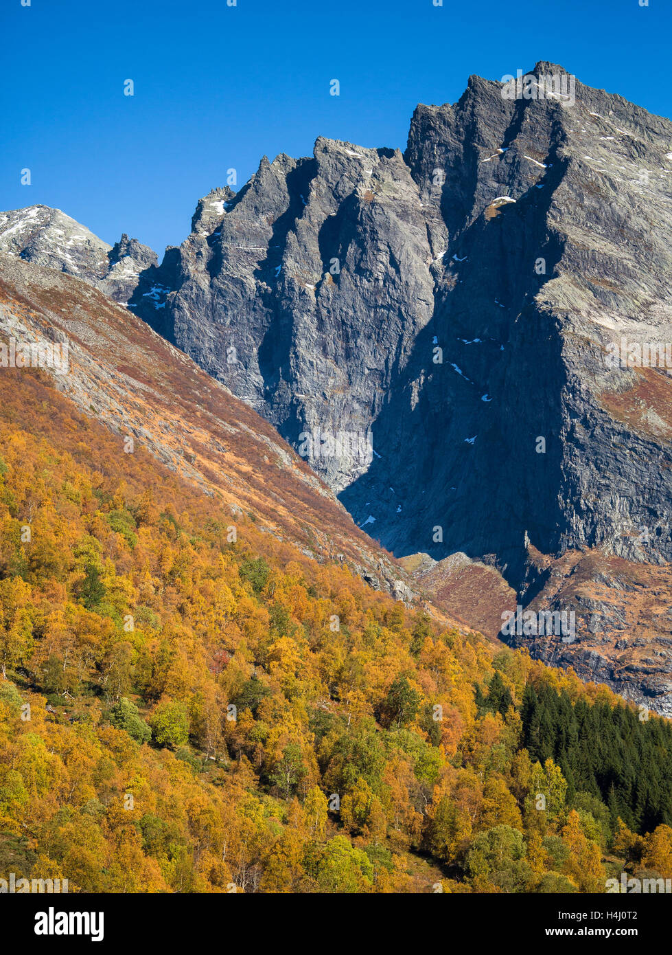 Un soleado día de otoño en el fantástico paisaje. Un colorido bosque de otoño en primer plano con una alta montaña empinada detrás. Foto de stock