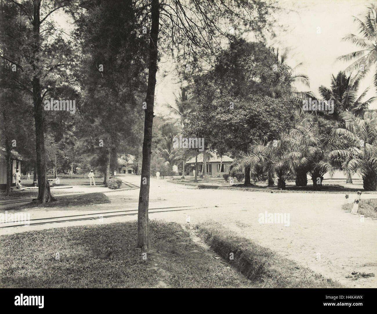 Avenida con árboles, casas y Europeos en Indonesia, Carl J. Kleingrothe, 1890 - 1900 Foto de stock