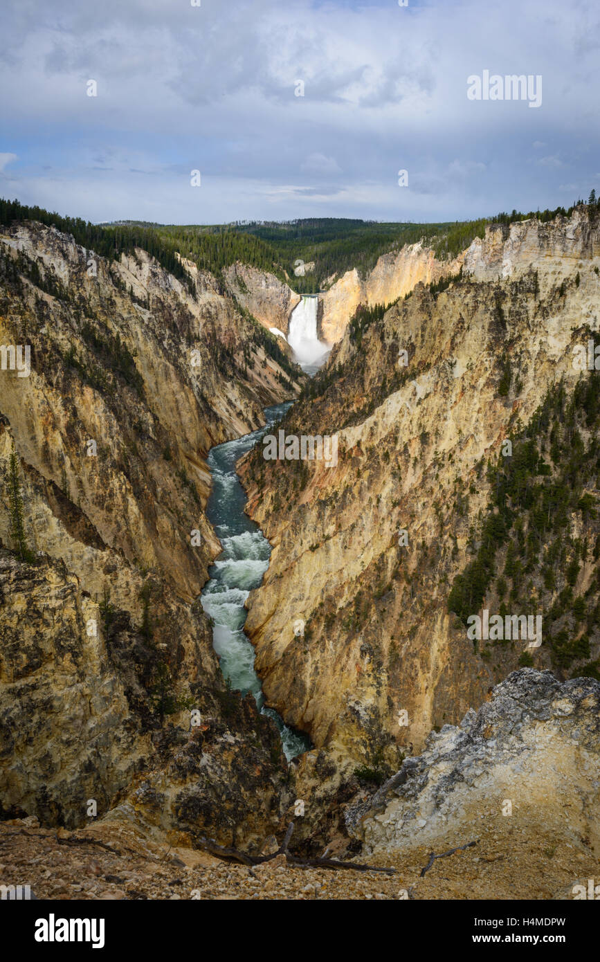 El Parque Nacional de Yellowstone. Foto de stock
