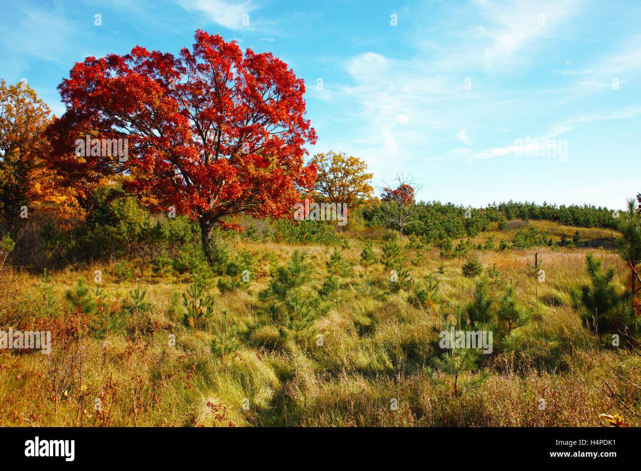 Colores de octubre fotografías e imágenes de alta resolución Alamy