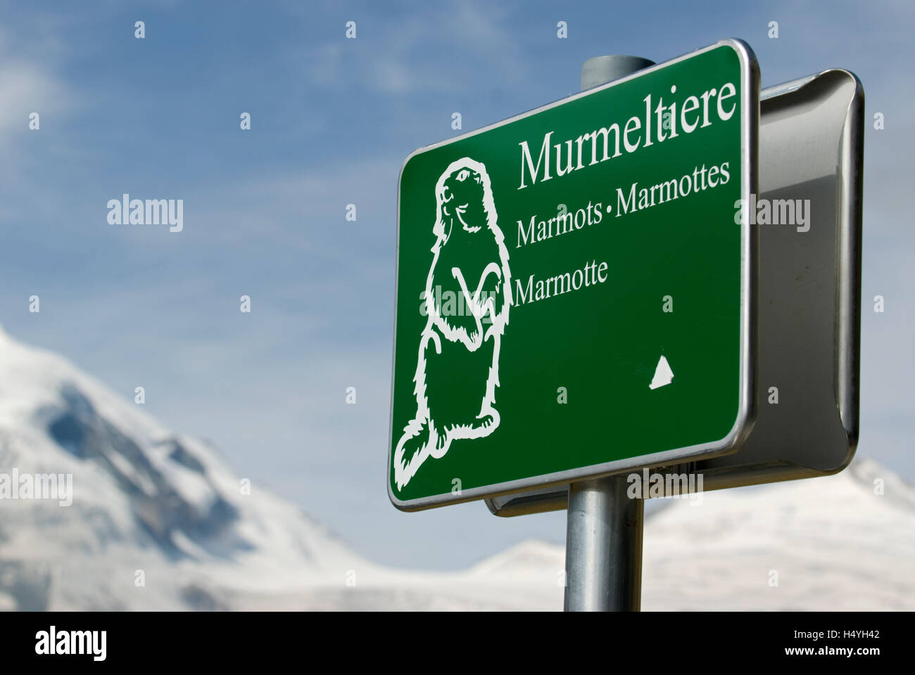Signo 'Murmeltiere', Alemán para la marmota o la marmota Grossglockner Hochalpenstrasse, Mt, alto alpino road Foto de stock