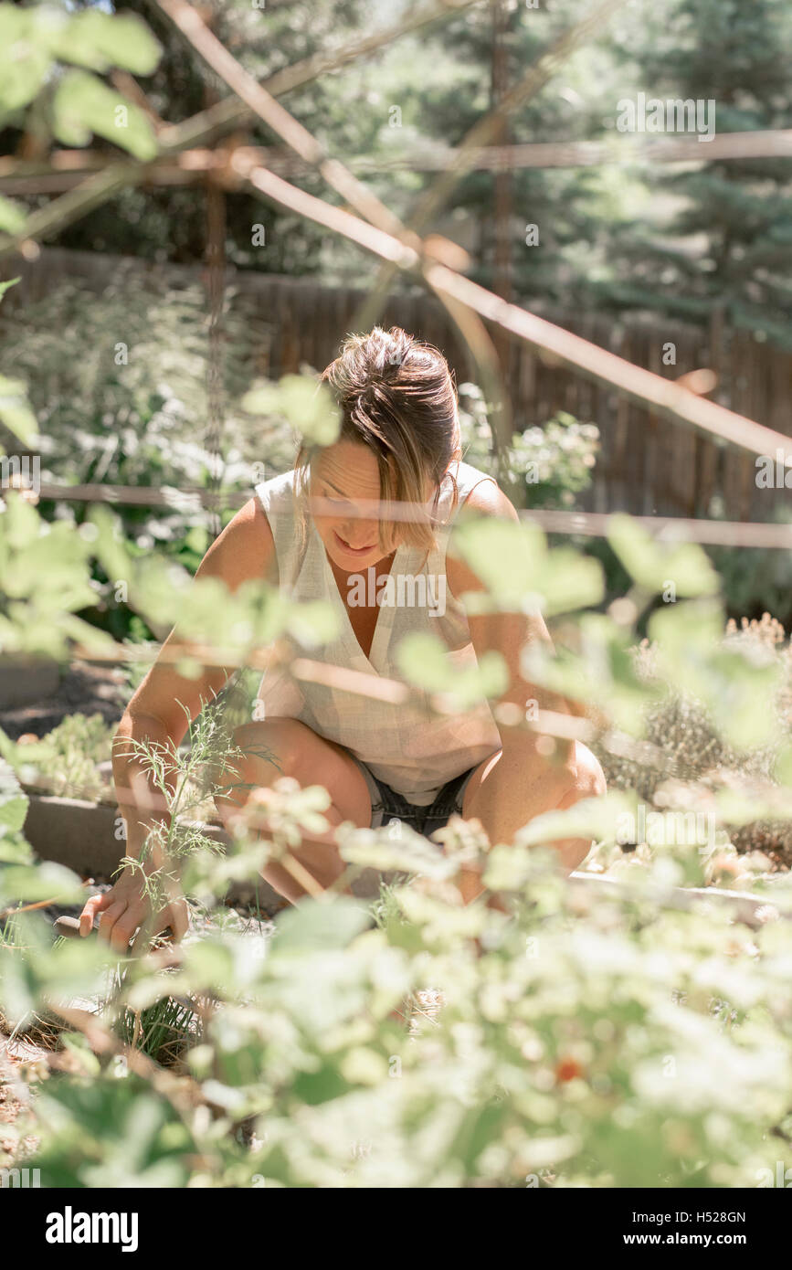 Mujer arrodillada en un jardín, la jardinería. Foto de stock