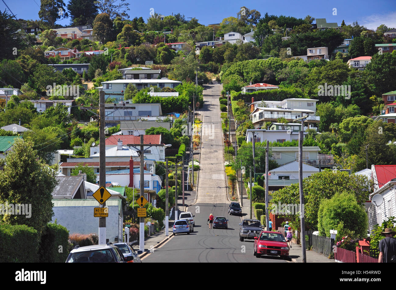 Baldwin Street (la calle más empinada del mundo), North East Valley, Dunedin, Otago, Isla del Sur, Nueva Zelanda Foto de stock
