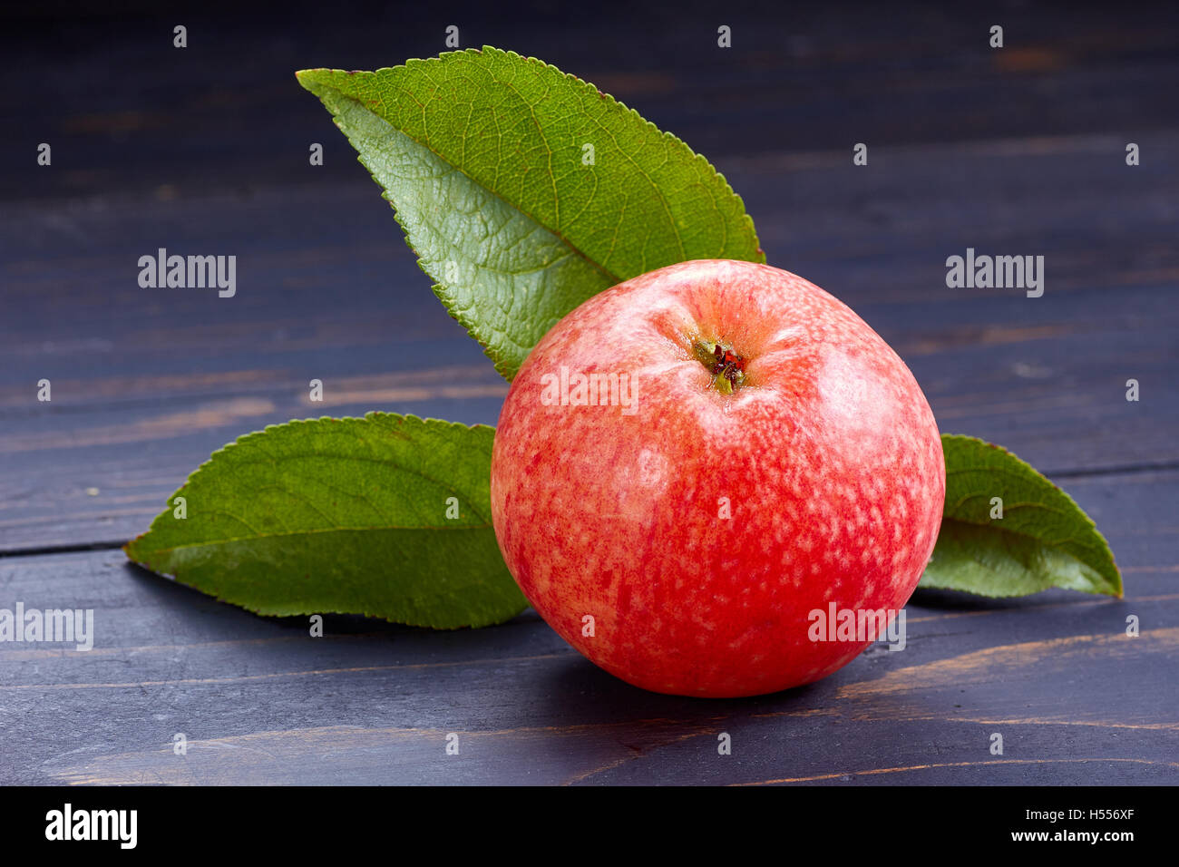 Rojo maduro y jugosa manzana con hojas. Foto de stock