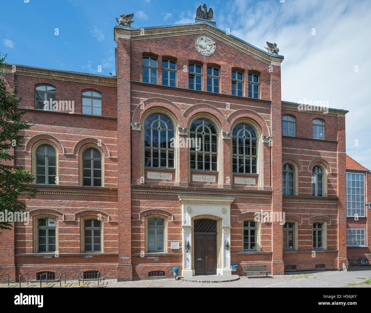 Universidad de Greifswald, Instituto de Anatomía y Biología Celular 1855, fachada de ladrillo neoclásico, Greifswald Foto de stock