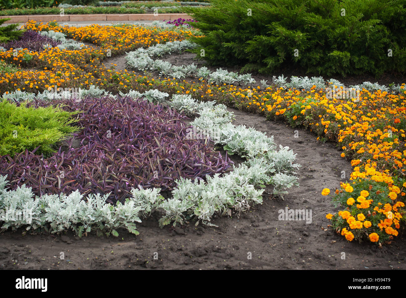 Exuberantes jardines paisajísticos con cama de flor y coloridas plantas Foto de stock