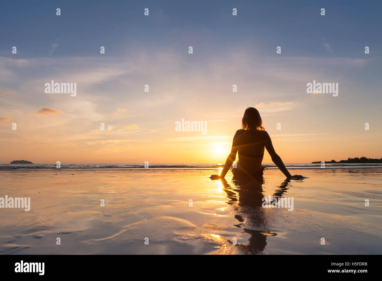 images Atardecer Fotos De Chicas En La Playa De Espalda https www alamy es foto chica rubia de vacaciones de relax en la playa y mirando al atardecer 123885983 html