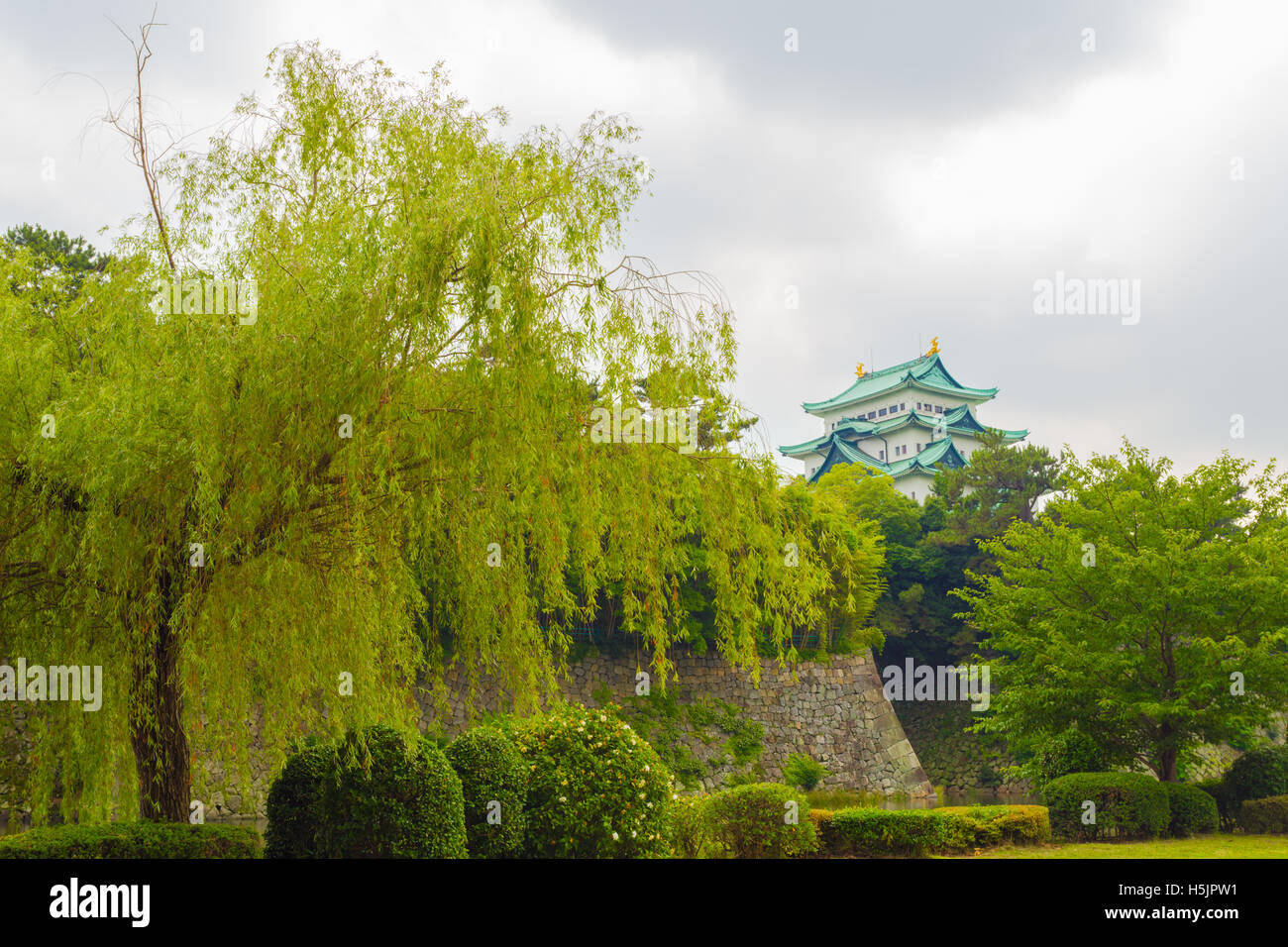 Parte superior del Castillo de Nagoya visibles por encima de límite de vegetación arbórea y rampart muros en días nublados en Nagoya, Japón Foto de stock