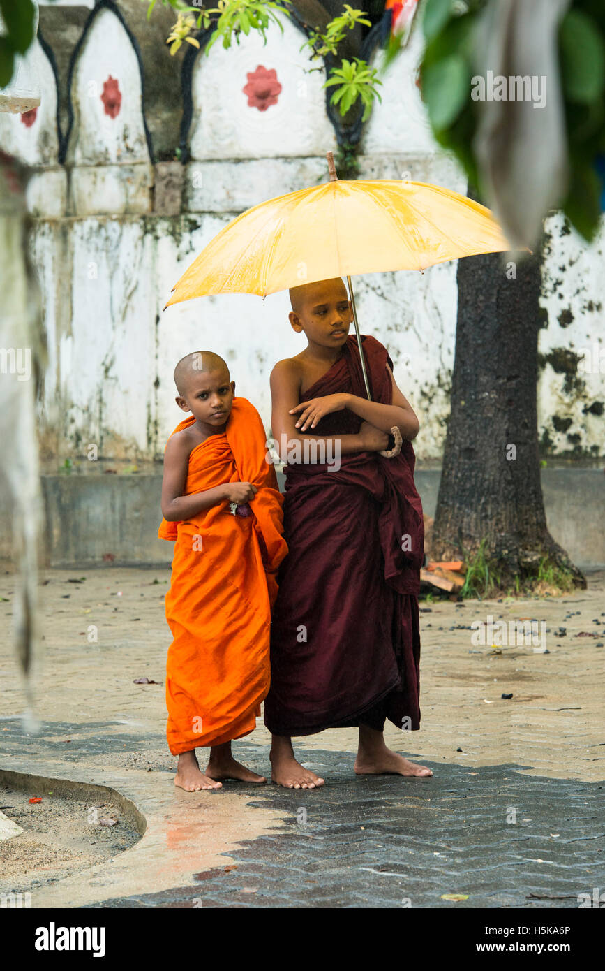 Los jóvenes monjes budistas llevar un paraguas en la lluvia, Dimbulagala monasterio budista cerca de Polonnaruwa, Sri Lanka Foto de stock