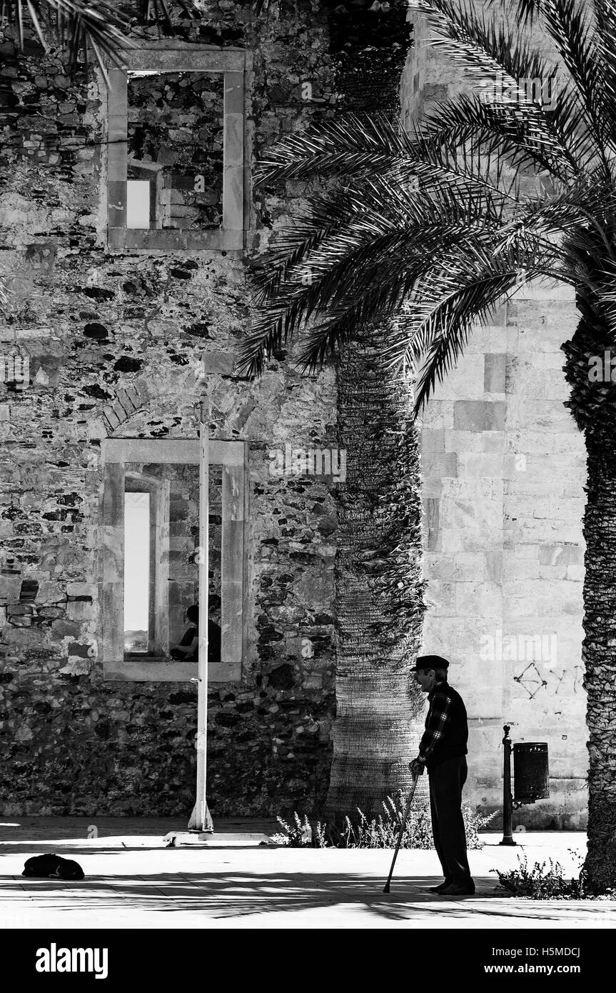 Un hombre viejo se encuentra bajo la sombra de una palmera, junto a la antigua mezquita turca en Lerapetra en la isla griega de Creta. Foto de stock