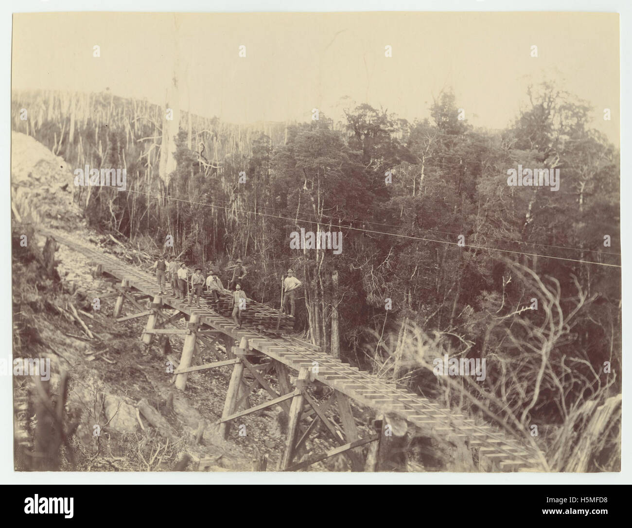 Monte Lyell Mina Construcción de la línea de transporte (c1895