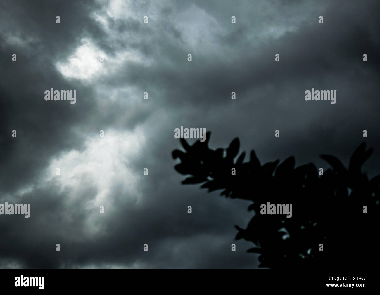 nube oscura Foto de stock