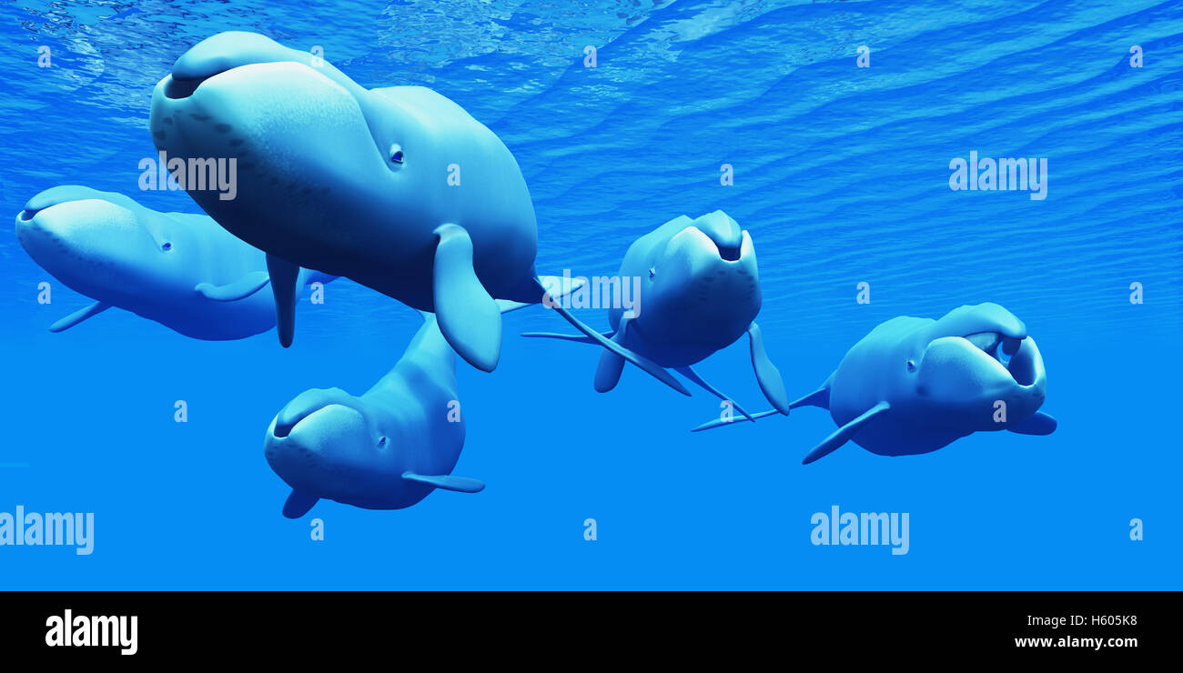 Ballena filtrando agua