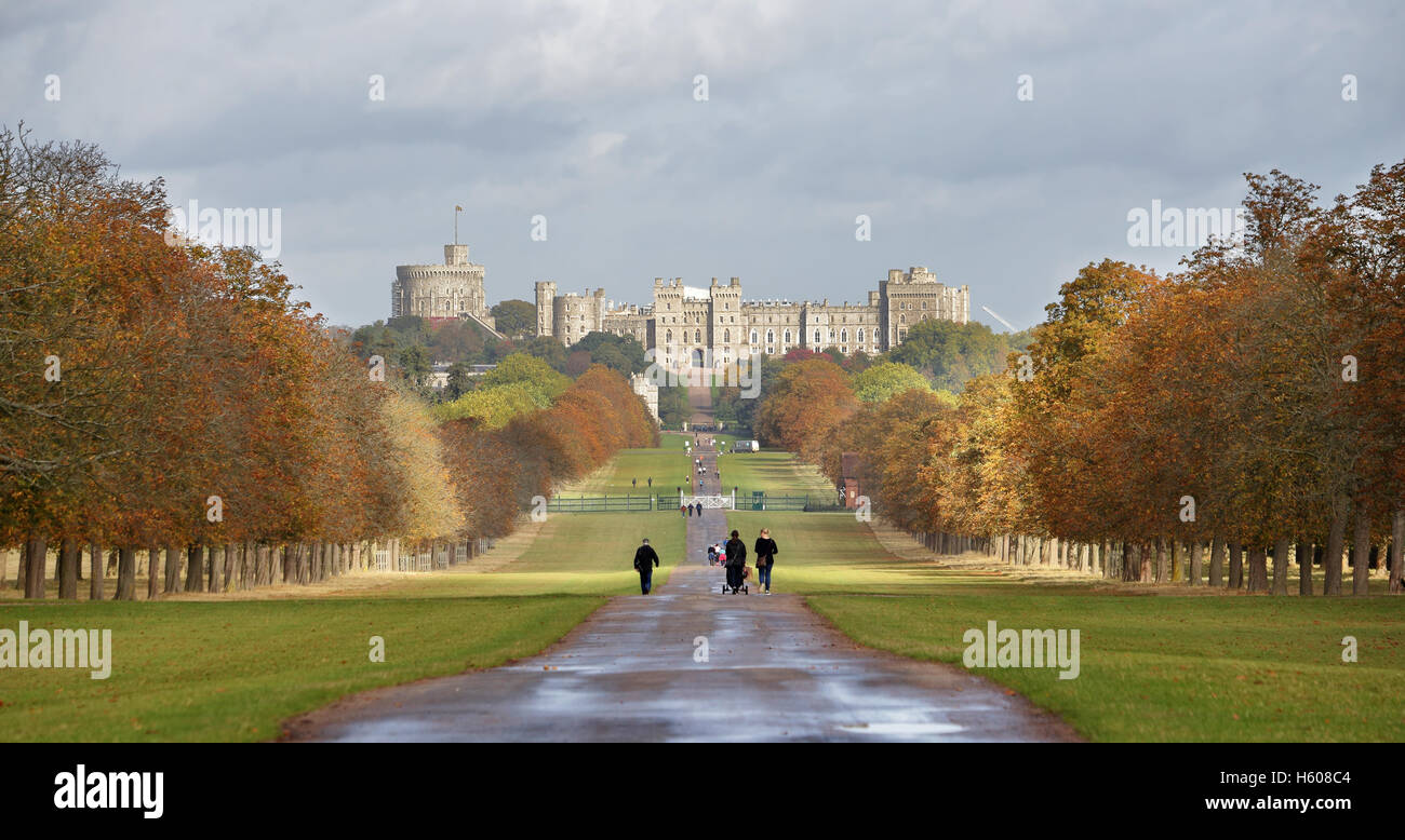 En el otoño de la larga caminata en Windsor Great Park con el castillo de fondo Foto de stock