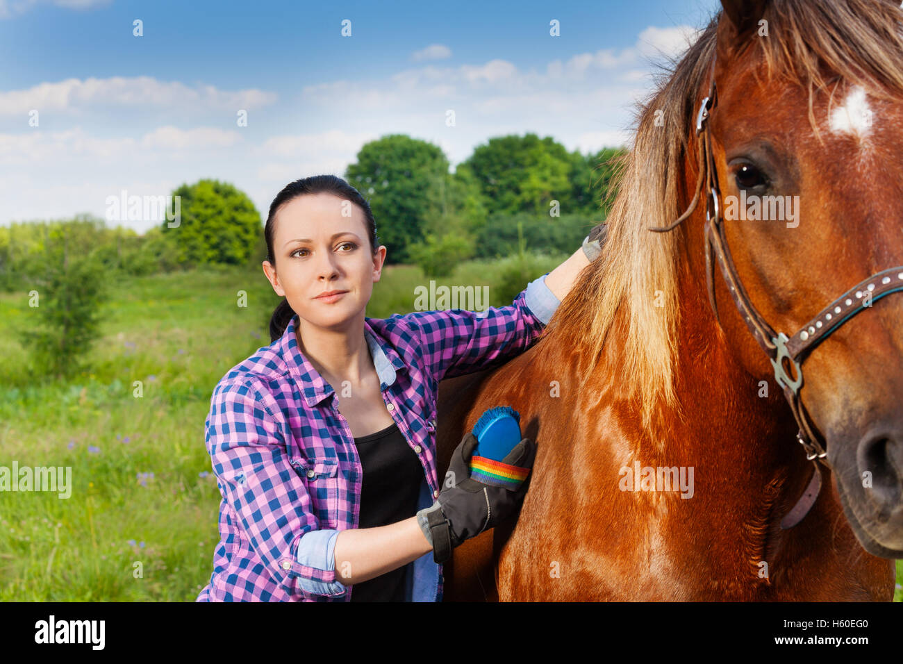 Retrato de mujer joven hermosa caballo cepillado Foto de stock