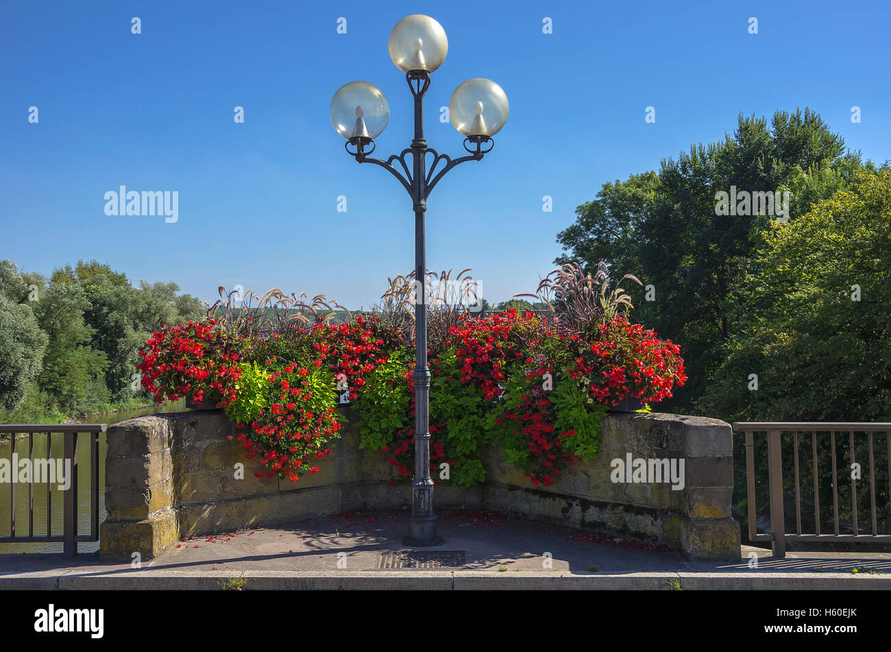 Las luces de la ciudad y jardineras, Lauffen am Neckar, Baden-Wurttemberg, Alemania. Foto de stock