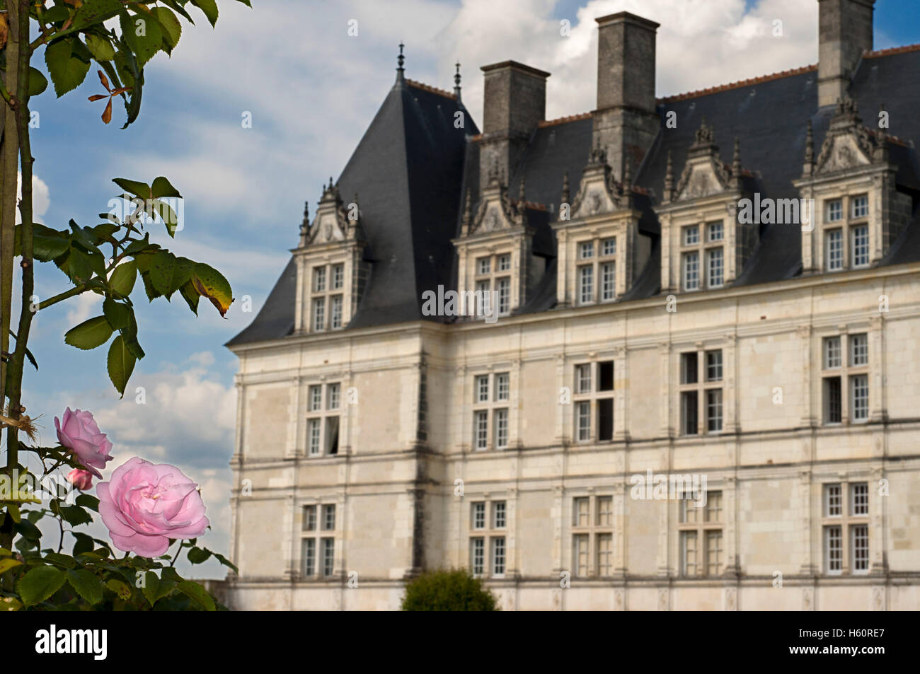 El castillo y los jardines de Villandry, Valle del Loira, Francia. El hermoso castillo y los jardines de Villandry, UNESCO World Herit Foto de stock