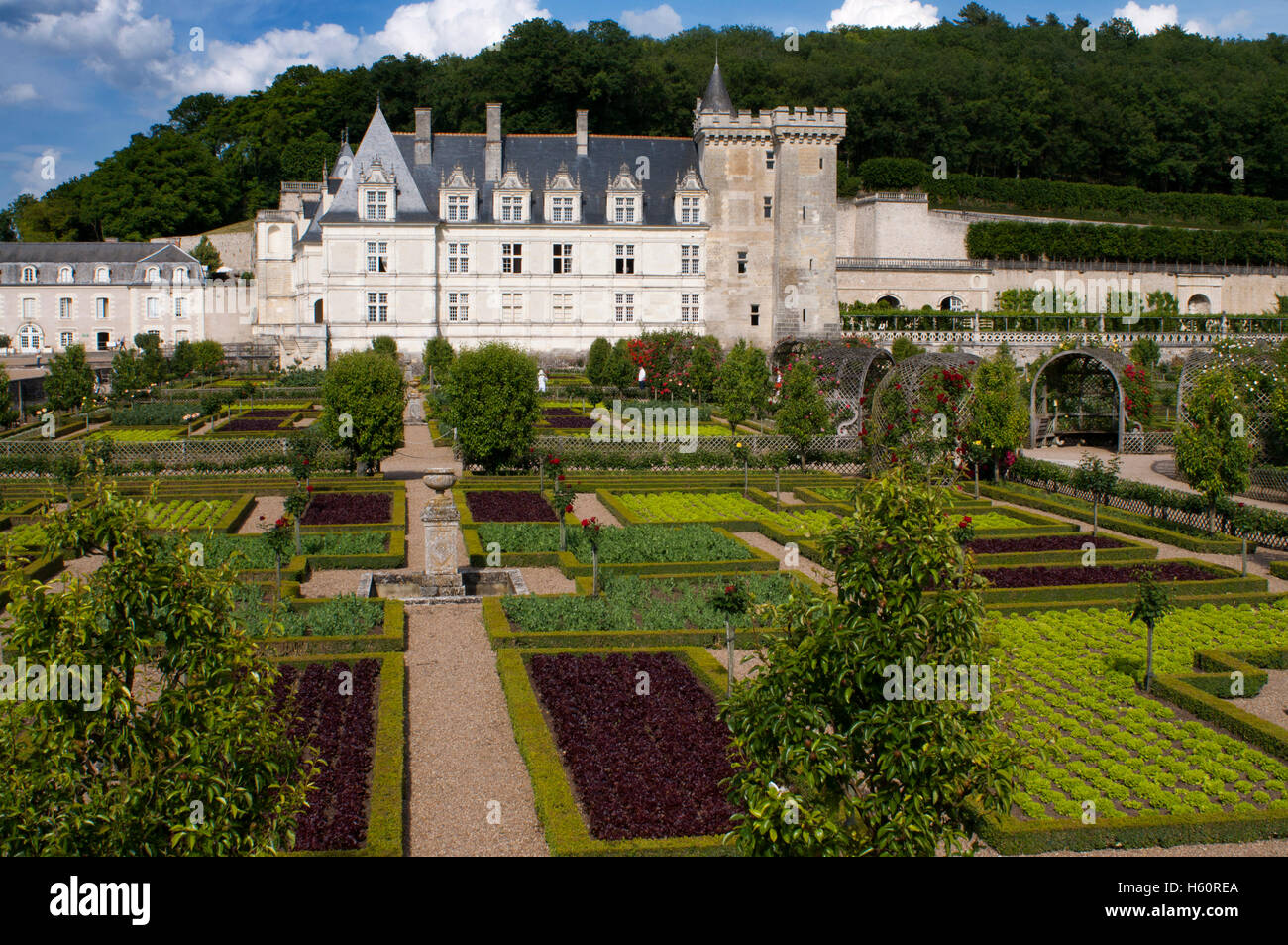 El castillo y los jardines de Villandry, Valle del Loira, Francia. El hermoso castillo y los jardines de Villandry, UNESCO World Herit Foto de stock